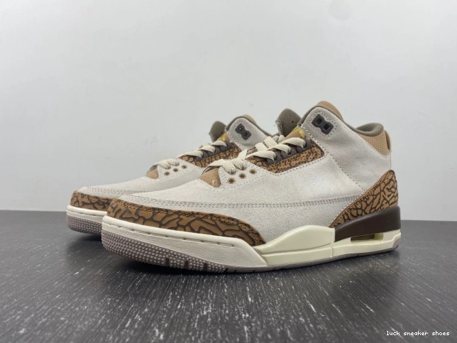 Reps LUCY Palomino 3 Air CT8532-102 Jordan 0816